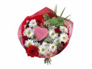 Kwiaty na Dzień Matki Lidl oferty z gazetki  od 19 maj 2014