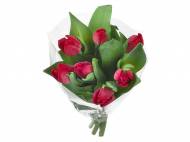 Kwiaty dla ukochanej osoby na 14.02 - Lidl gazetka - oferta ważna od 08.02.2016
