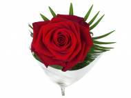 Róża 60 cm premium , cena 7,99 PLN za 1 szt., dostępna 13,02 ...