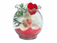 Orchidea w szklanej kuli , cena 8,99 PLN za 1 opak., dostępna ...