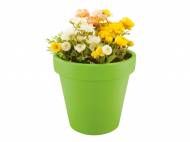 Donica Florabest, cena 24,99 PLN za 1 szt. 
- nadaje się do ...