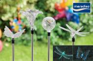 Lampka solarna cena 17,99PLN
- automatyczna zmiana kolorów
- ...