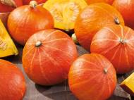 Dynia , cena 2,99 PLN za 1 kg 
-      Kraj pochodzenia: Polska