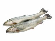 Pstrąg tęczowy , cena 2,19 PLN za 100 g 
- Świeży, patroszony. ...