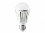 Żarówka LED Livarno Lux, cena 34,99 PLN za 1 szt. 
- 2 rodzaje ...