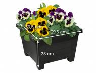 Donica z systemem nawadniania Florabest, cena 21,99 PLN za 1 ...