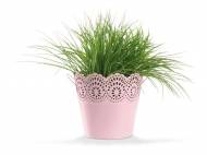 Doniczka lub zestaw doniczek Florabest, cena 14,99 PLN za 1 ...