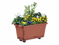Donica na rośliny Florabest, cena 34,99 PLN za 1 opak. 
- z ...