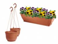 Doniczki Florabest, cena 14,99 PLN za 1 opak. 
-  do wyboru: