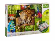 Puzzle 3000 elementów , cena 29,99 PLN za 1 opak. 
- 6 wzorów ...