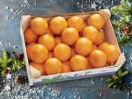 Mandarynki skrzynka , cena 9,99 PLN za 2.3 kg/1 opak., 1kg=4,34 ...