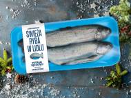 Świeży pstrąg tęczowy , cena 1,99 PLN za 100 g