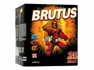 Bateria 25 - strzałowa \