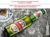 Piwo Kingfisher , cena 2,00 PLN za 330 ml/1 opak., 1 L=8,45 PLN.