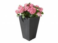 Donica Florabest, cena 59,90 PLN za 1 szt. 
- wykonana z tworzywa ...