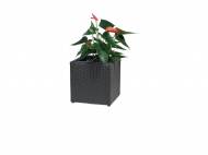 Doniczka Florabest, cena 49,99 PLN za 1 szt. 
- z technorattanu ...