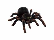 Zdalnie sterowana tarantula , cena 59,90 PLN 
- zasięg radiowy: ...