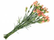 Goździki 10 szt. , cena 7,99 PLN za 7 szt. 
- 10 szt. w bukiecie
- ...