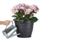 Doniczka z systemem nawadniania Florabest, cena 19,99 PLN za ...