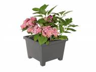 Donica Florabest, cena 24,99 PLN za 1 szt. 
- 2 kolory 
- ...