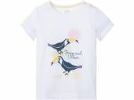 T-shirt dziewczęcy Lupilu, cena 7,99 PLN 
- 100% bawełny
- ...