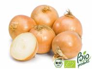 Bio-cebula , cena 3,59 PLN za 1 kg 
-     od ...