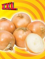 Cebula , cena 1,39 PLN za 2,5 kg/1 opak.