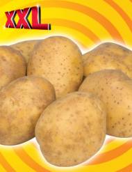 Zieminiaki , cena 1,99 PLN za 5 kg/1. opak.