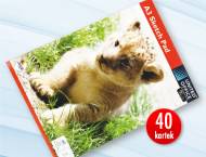 Blok rysunkowy A3 , cena 4,99 PLN za 1 szt. 
- 40 kartek 
- ...