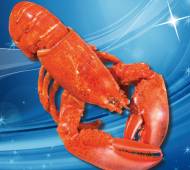Homar , cena 29,99 PLN za 680 g/1 opak. 
- to najszlachetniejszy ...