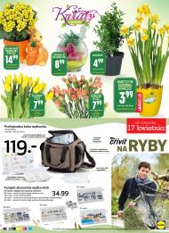 Kwiaty z wielkanocnymi ozdobami: kalanchoe w ceramicznej doniczce ...