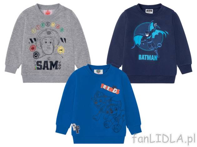 Bluza chłopięca z bohaterami bajek, 1 sztuka , cena 24,99 PLN 
 <b>Opis produktu</b> ...