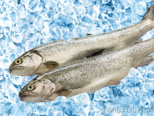 Świeży pstrąg tęczowy , cena 1,49 PLN za 100 g 
- Świeży, patroszony.
- ...