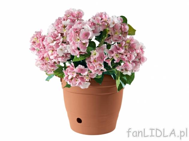 Donica okrągła Florabest, cena 19,99 PLN za 1 szt. 
- z zasobnikiem na wodę
- ...