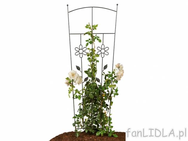 Podpórka do pnączy Florabest, cena 24,99 PLN za 1 szt. 
- z metalu powlekanego ...