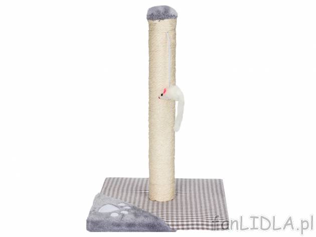 Drapak dla kota Zoofari, cena 34,99 PLN  
-  wys. 43 cm
Opis

- 3 lata