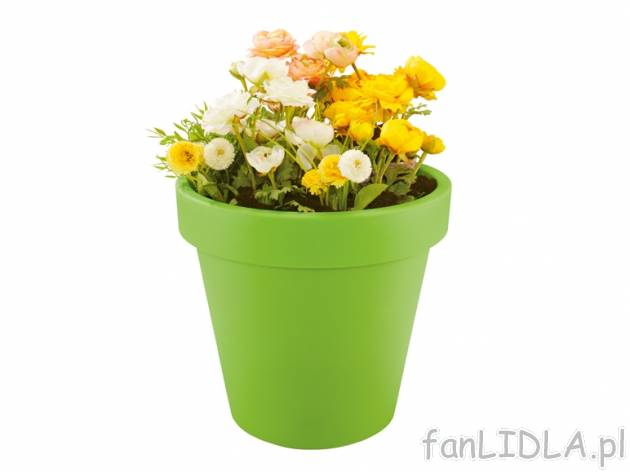 Donica Florabest, cena 24,99 PLN za 1 szt. 
- nadaje się do stosowania na zewnątrz ...