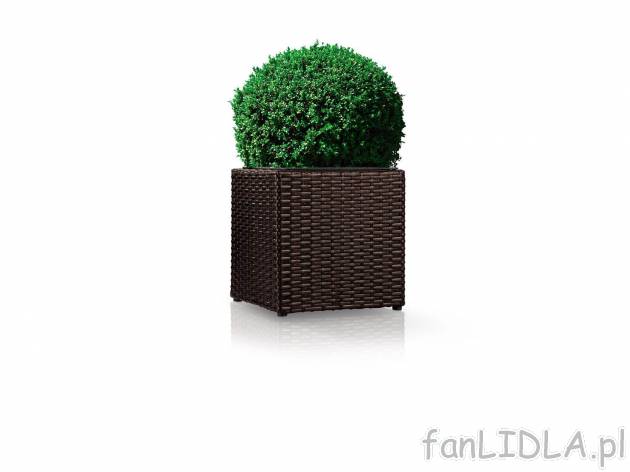 Donica z technorattanu , cena 49,99 PLN 
- ok. 28 x 28 x 28 cm (szer. x dł. x ...