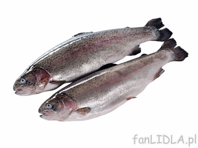 Pstrąg łososiowy , cena 2,49 PLN za 100 g 
- Ma delikatne mięso, smakiem i kolorem ...