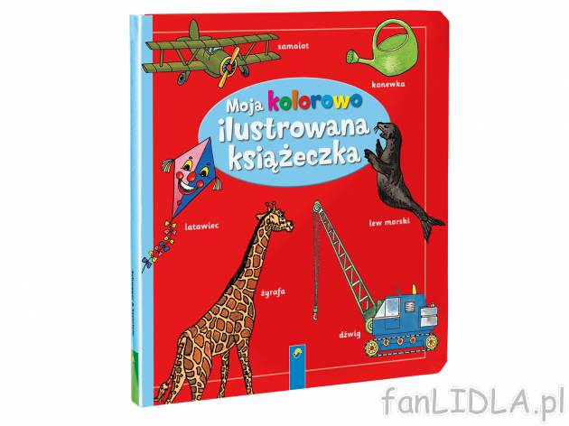 Książeczka dla najmłodszych: Moja kolorowo ilustrowana książeczka, cena 11,99 ...