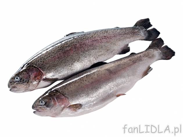 Pstrąg łososiowy , cena 2,49 PLN za 100 g 
- Ma delikatne mięso smakiem i kolorem ...