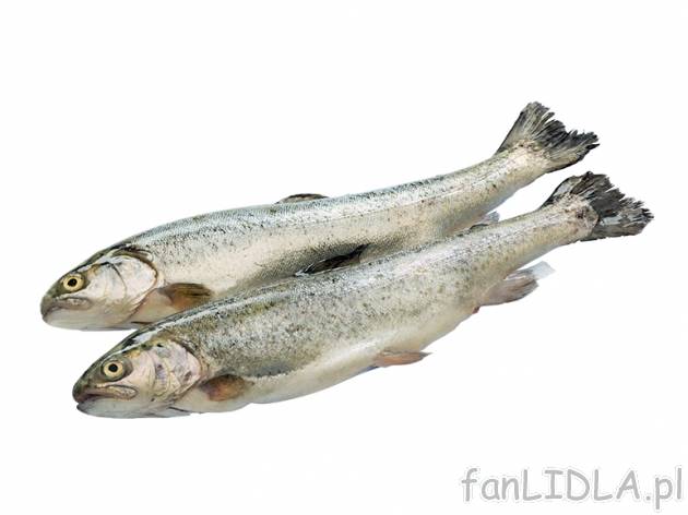 Pstrąg tęczowy , cena 2,19 PLN za 100 g 
- Świeży, patroszony. Mięso pstrąga ...