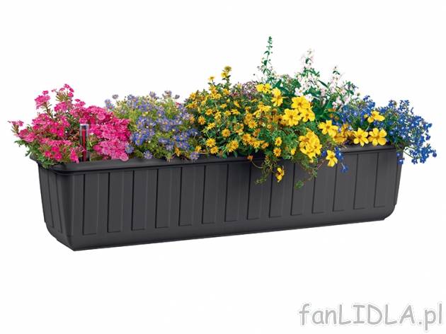 Skrzynka na kwiaty 80 cm lub donica z systemem nawadniania Florabest, cena 22,99 ...