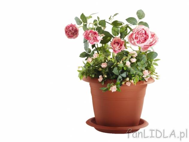 Asortyment donic Florabest, cena 14,99 PLN za 1 opak. 
do wyboru: 
- doniczka, wymiary: ...