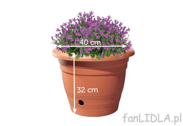 Donica Florabest, cena 18,99 PLN za 1 szt. 
-  z zasobnikiem na wodę
