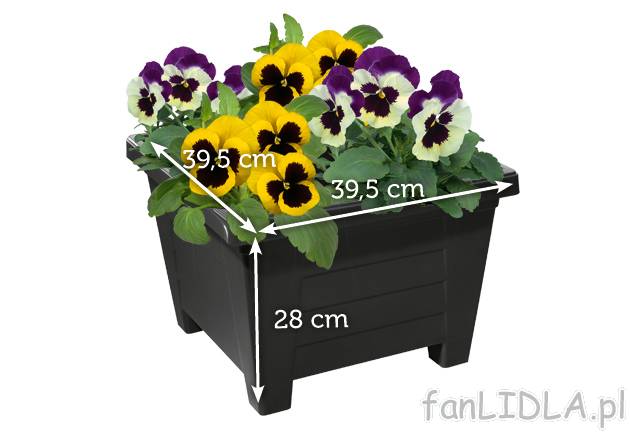 Donica z systemem nawadniania Florabest, cena 21,99 PLN za 1 szt. 
-  3 kolory do wyboru