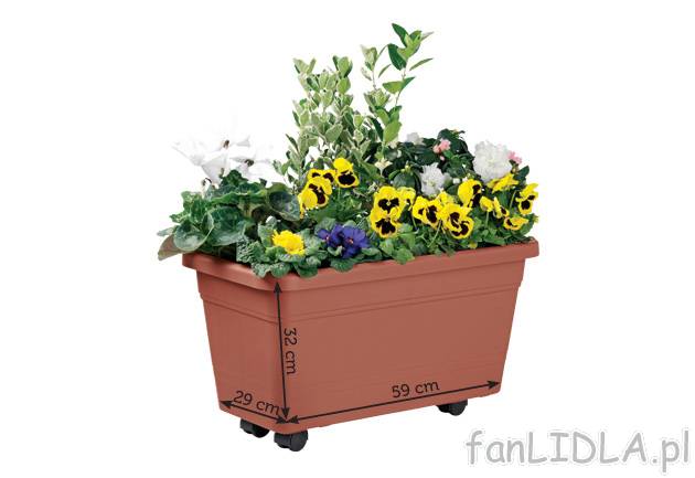 Donica na rośliny Florabest, cena 34,99 PLN za 1 opak. 
- z grubego, trwałego ...