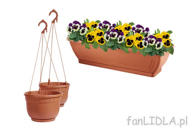 Doniczki Florabest, cena 14,99 PLN za 1 opak. 
-  do wyboru:
