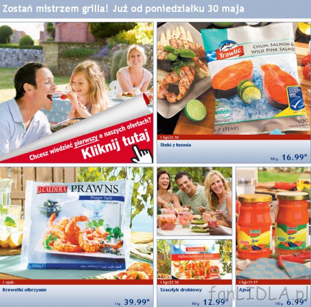 Gazetka Lidl od poniedziałku 30 maja 2011. Zostań mistrzem Grilla. Steki z łososia, ...