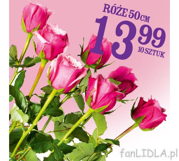 Róże , cena 13,99 PLN za 10 szt. 
-  Róże 
-  50 cm 
-  13.99